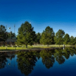 oklahoma sos business search