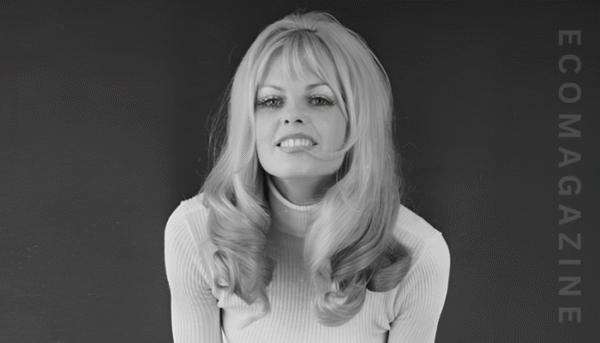 Anthea Redfern: A Comprehensive Exploration of Identity Influence and Modern Relevance