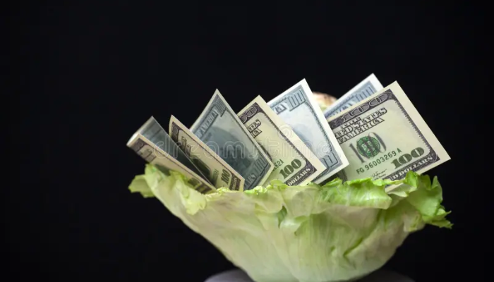 salad money
